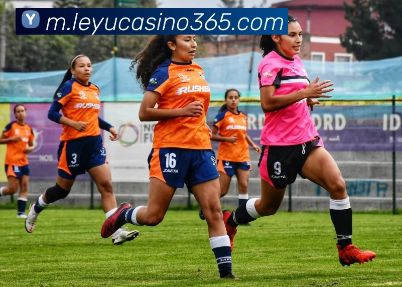 乐鱼真人娱乐APP 体育赛事宣传图